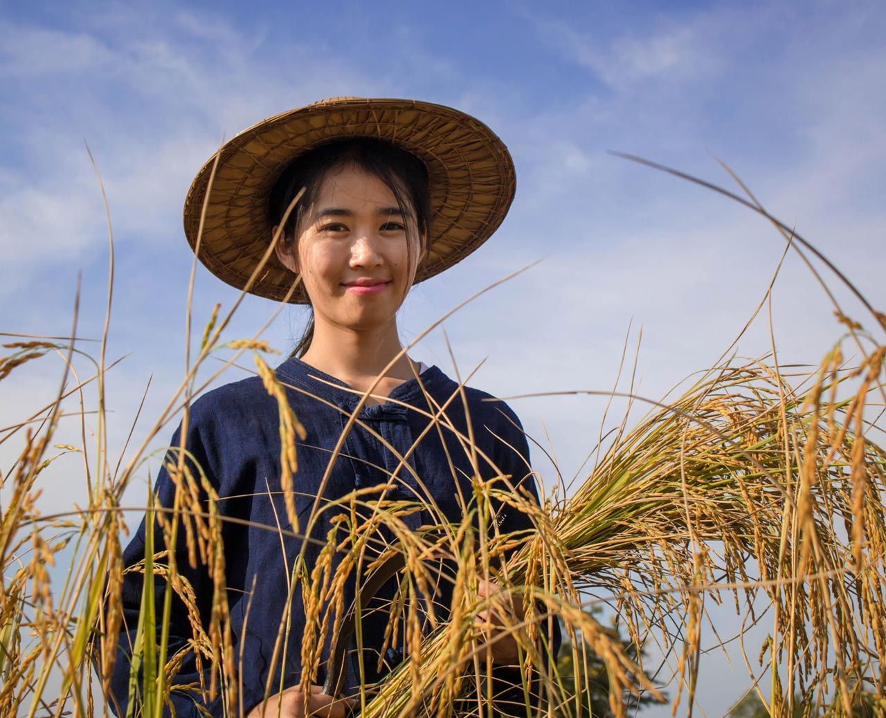 The Dariu Foundation - Gild with hat in Vietnam