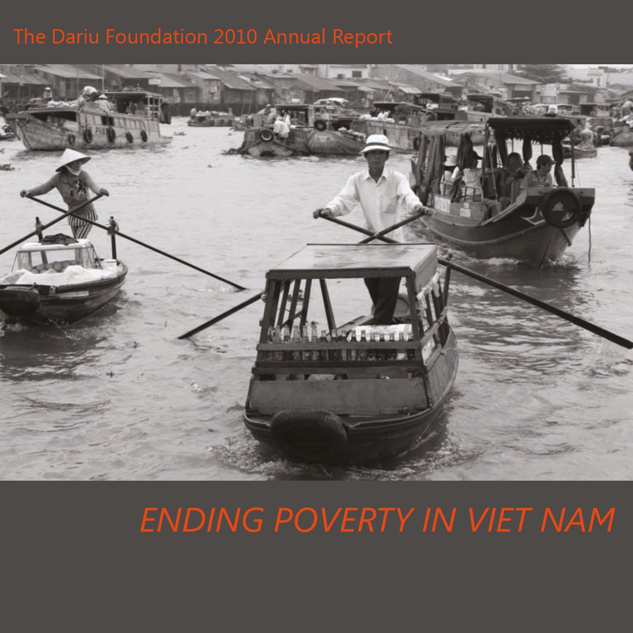 Dariu Foundation - Jahresbericht - 2010