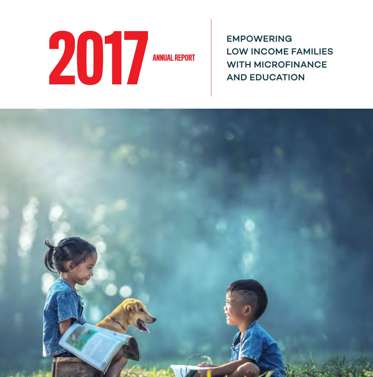 Dariu Foundation - Jahresbericht - 2017