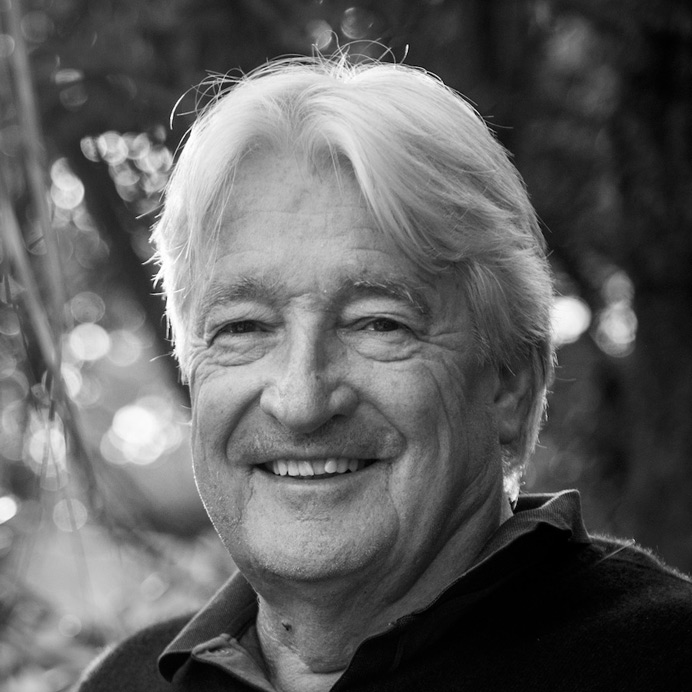 The Dariu Foundation - Stiftungsrat - THOMAS TRÜB