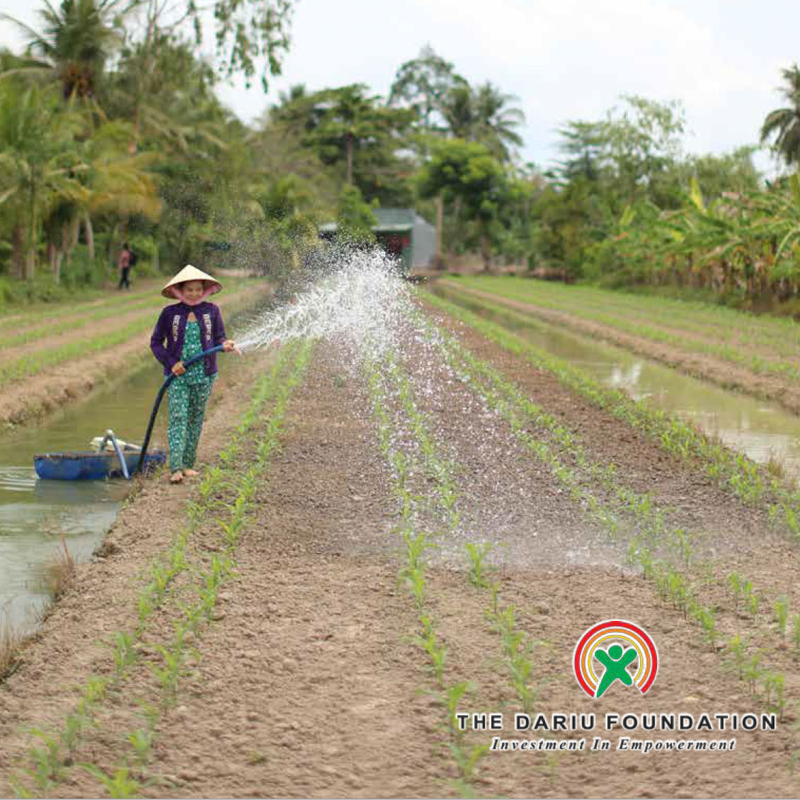 Dariu Foundation - Jahresbericht - 2013