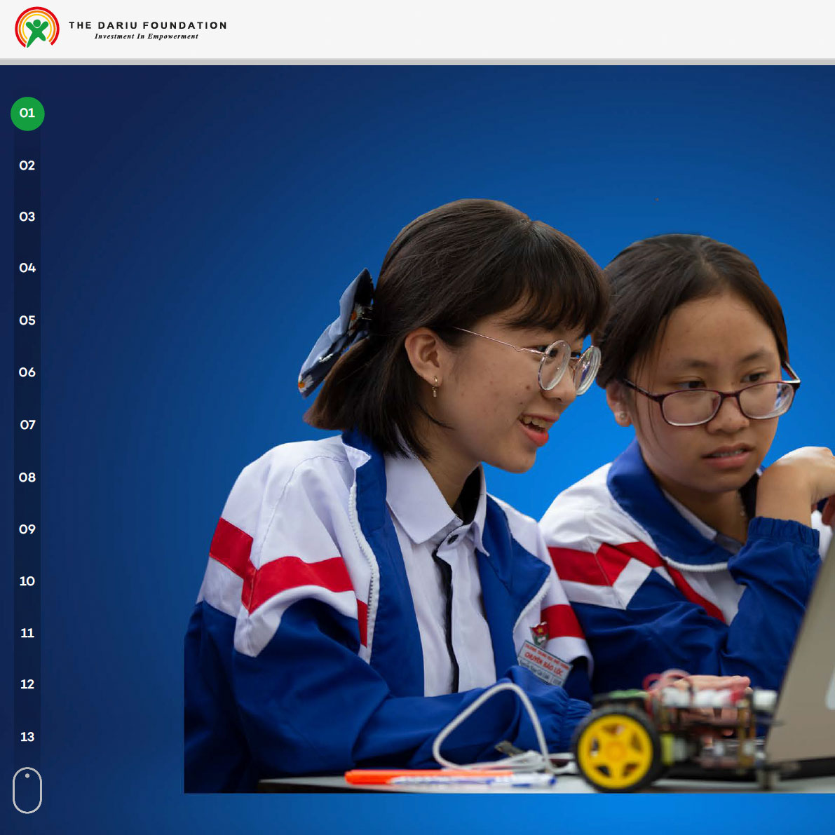 Dariu Foundation - Jahresbericht - 2020