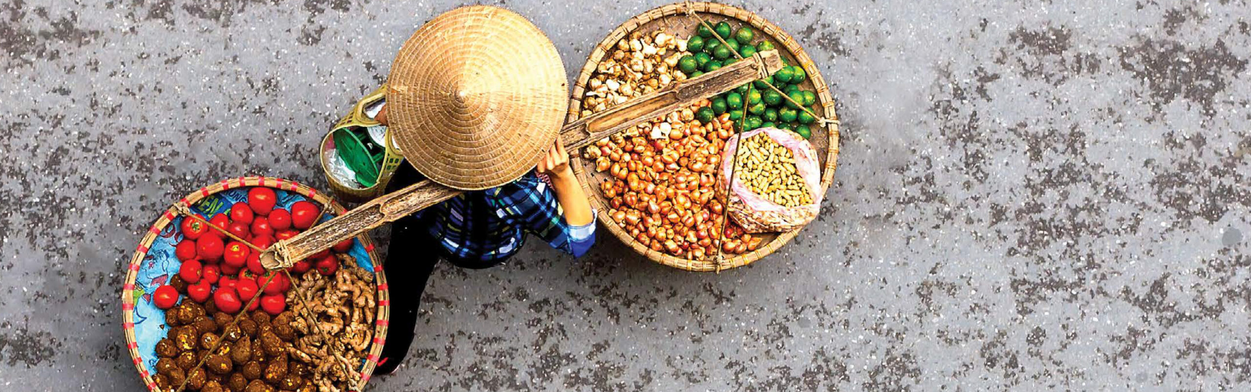 Header Bild - Dariu Foundation - Vietnam