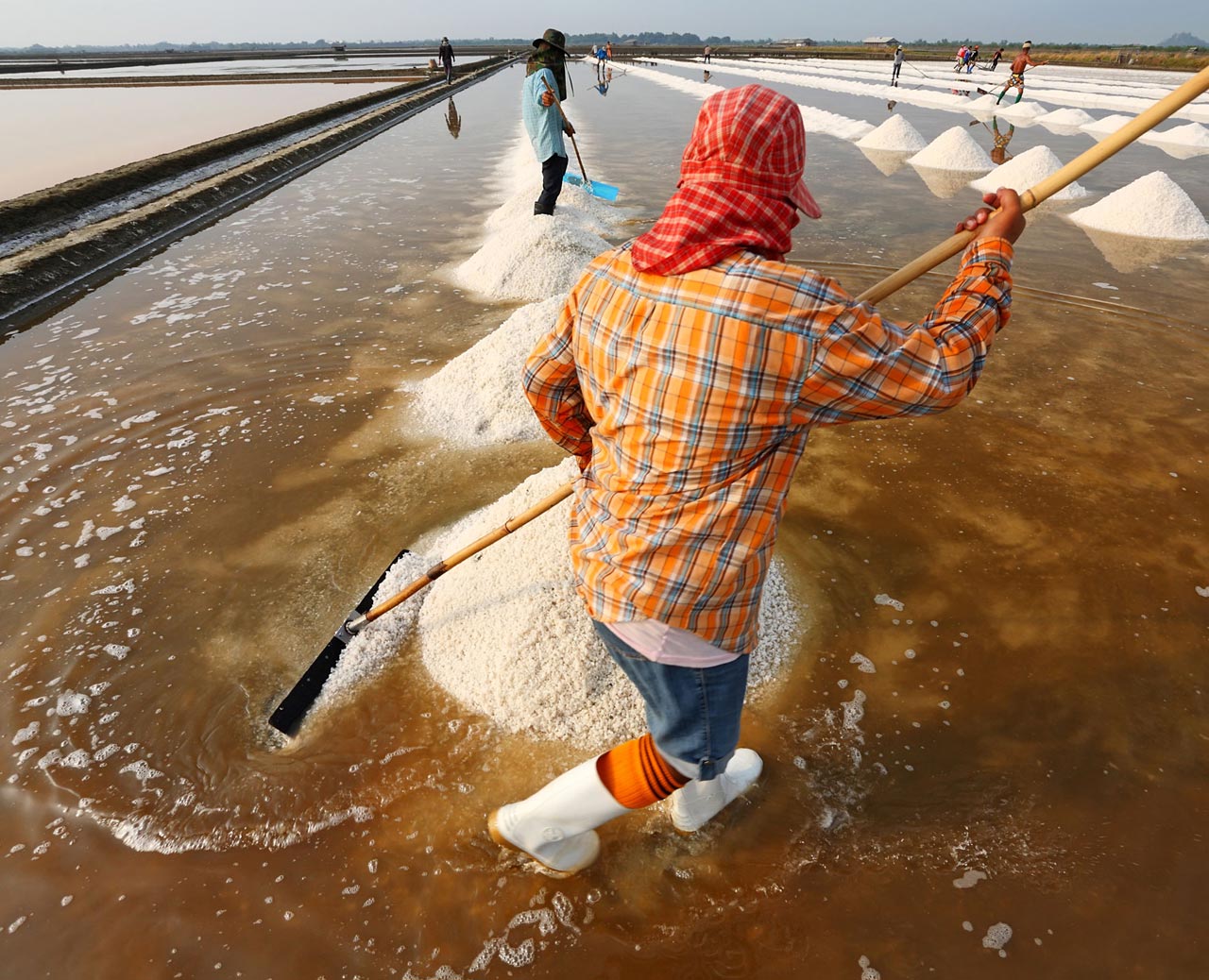The Dariu Foundation - Person working on rice field - Vietnam