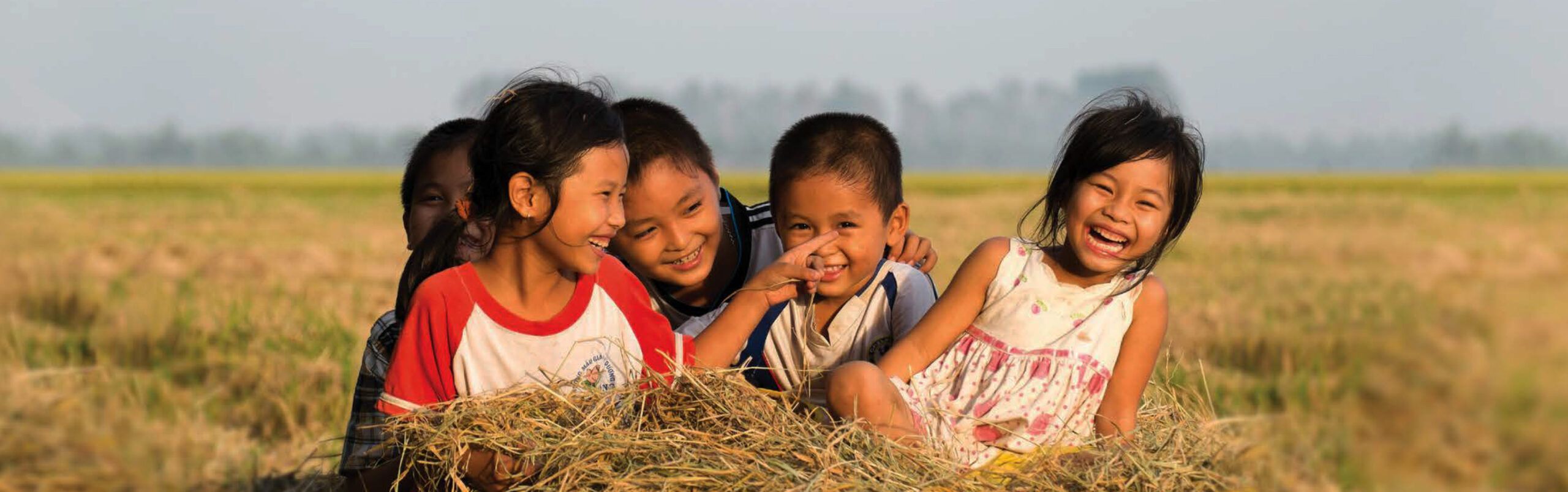 Dariu Foundation - Header Aktivitäten - two asian women collecting corn
