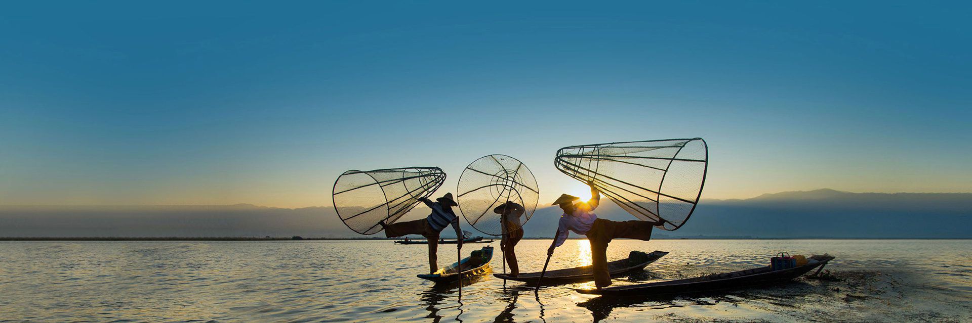 Header Bild- The Dariu Foundation - Testimonials