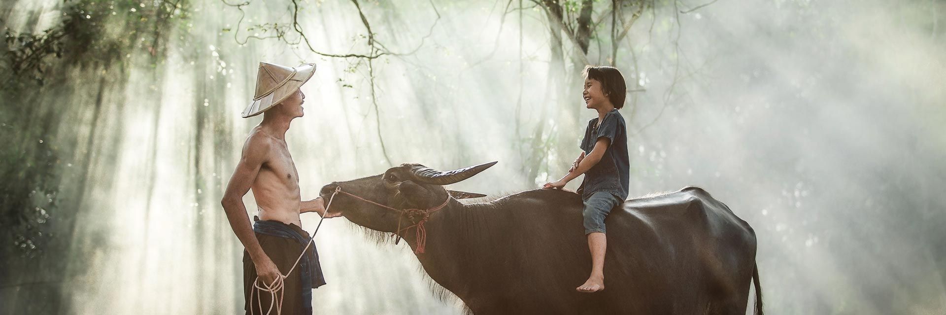 Header Bild - spenden